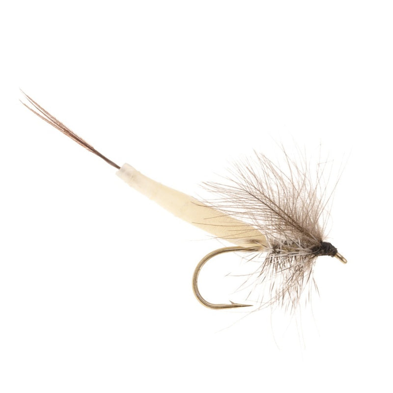 MAYFLY DETACHED FLY DETACHED CDC SPENT