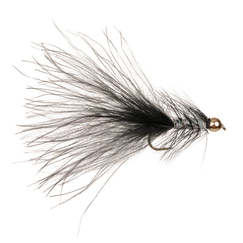 DANCER FLY BLACK