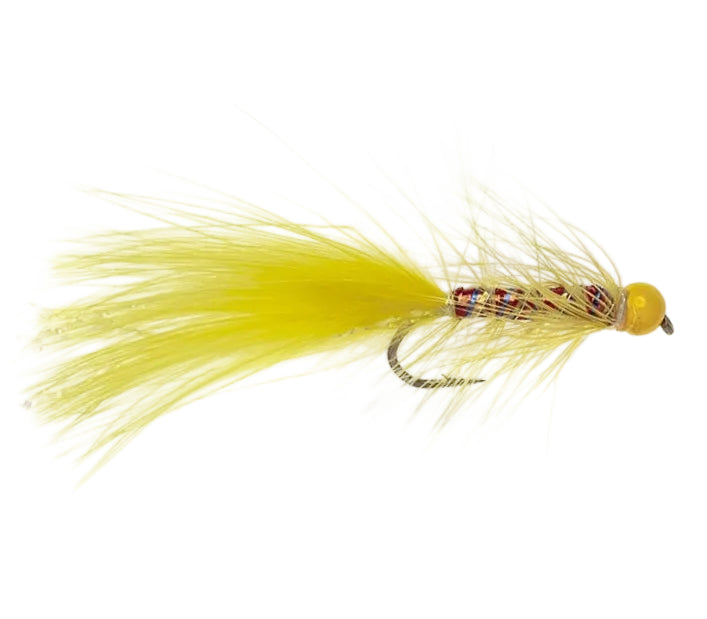 DANCER FLY YELLOW DANCER & YELLOW HEAD