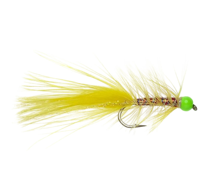 DANCER FLY YELLOW DANCER & CHARTREUSE HEAD