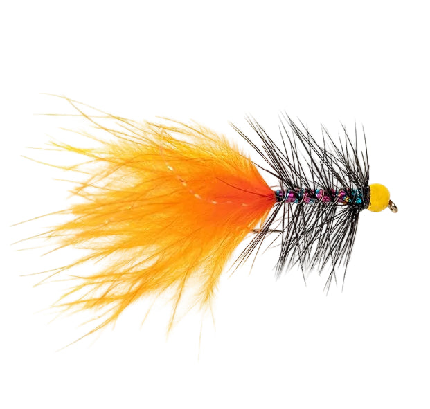 DANCER FLY ORANGE DANCER & YELLOW HEAD