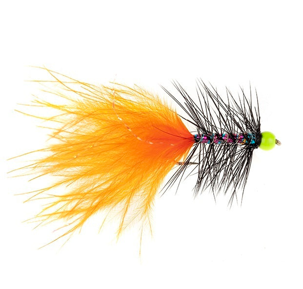 DANCER FLY ORANGE DANCER & CHARTREUSE HEAD