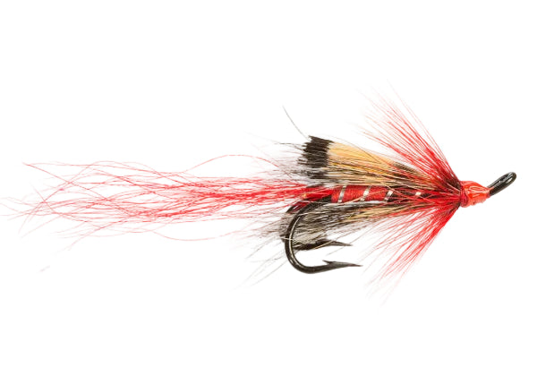 SALMON DOUBLE FLY RED HOT CURRY SHRIMP