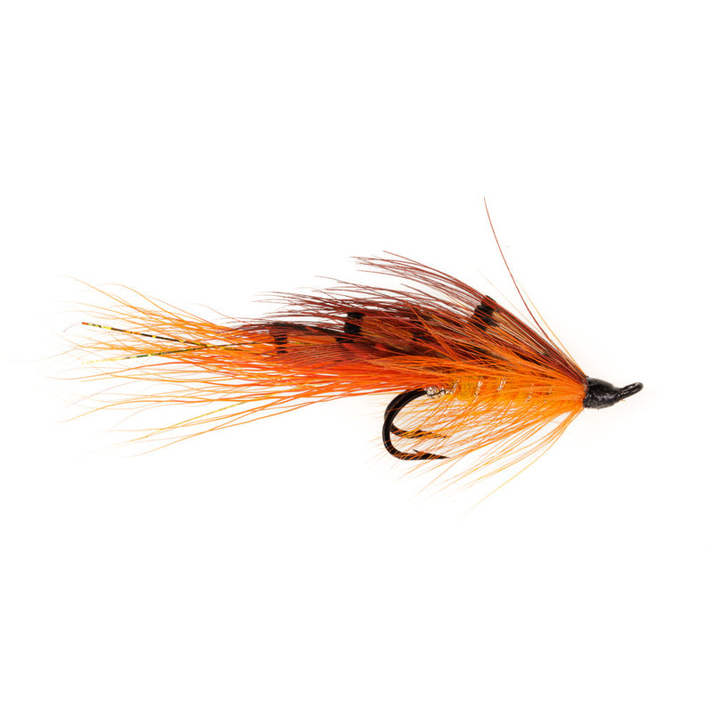 SALMON DOUBLE FLY GENERAL PRACTITIONER