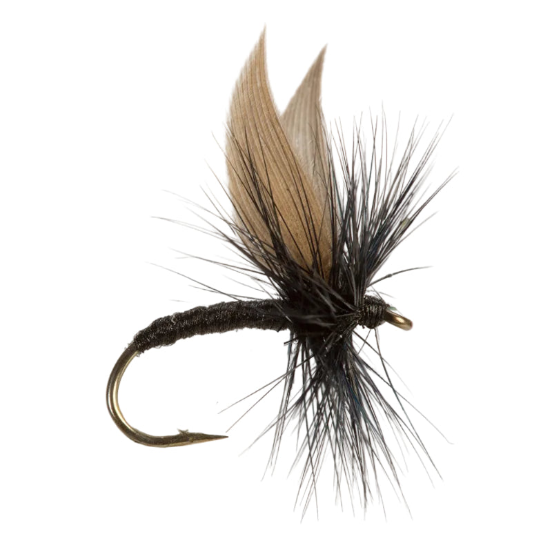 DRY WINGED FLY BLACK GNAT
