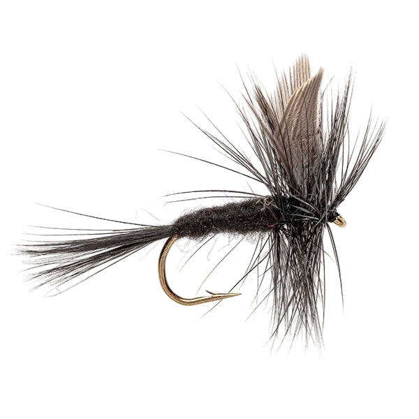 DRY WINGED FLY BLACK GNAT BLACK