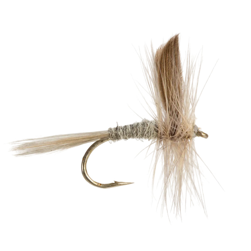 DRY WINGED FLY BLUE DUN