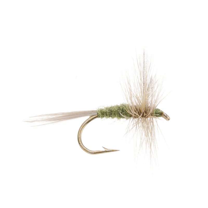 DRY WINGED FLY BLUE WINGED OLIVE