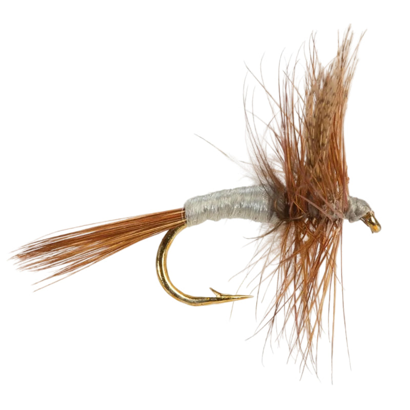 DRY WINGED FLY CAHILL-DARK