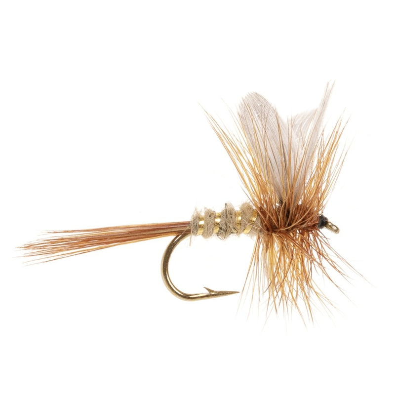 DRY WINGED FLY GOLD RIBBED HARE'S EAR