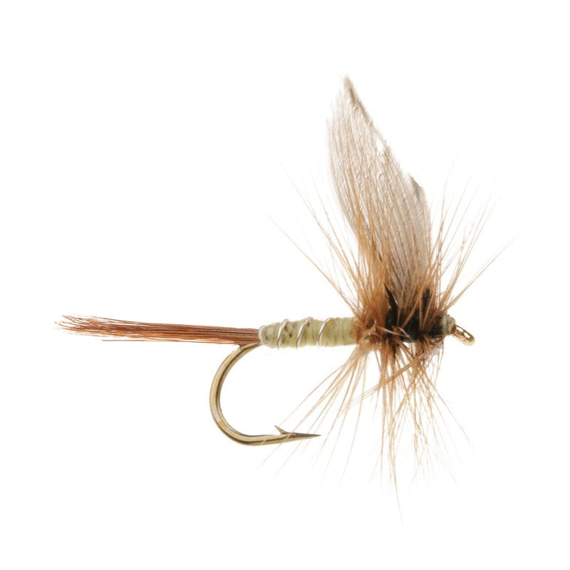 DRY WINGED FLY GREENWELL'S GLORY