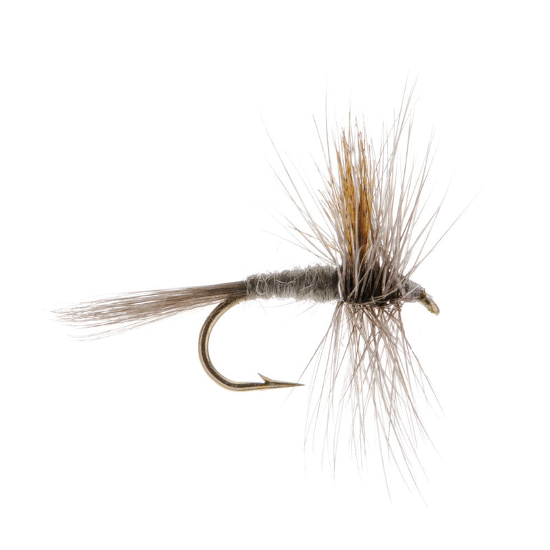 DRY WINGED FLY HENDRICKSON-DARK