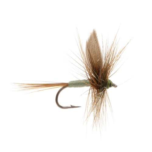 DRY WINGED FLY MEDIUM OLIVE DUN