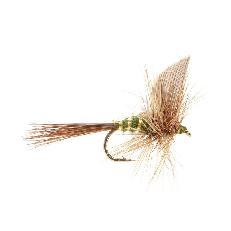 DRY WINGED FLY ROUGH OLIVE