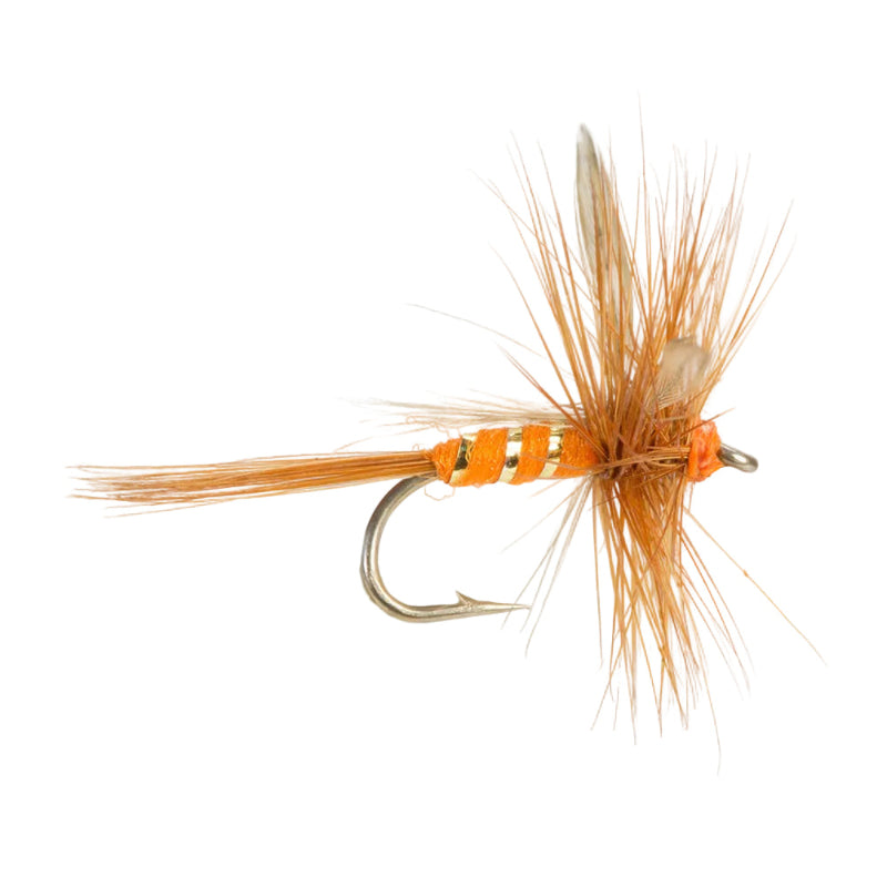 DRY WINGED FLY SHERRY SPINNER