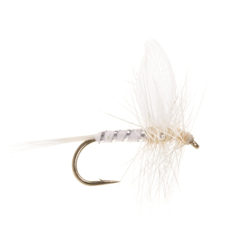 DRY WINGED FLY WHITE MILLER
