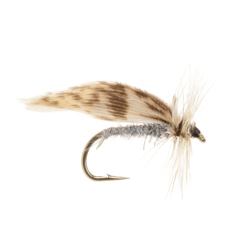 DRY WINGED FLY GREY FLAG