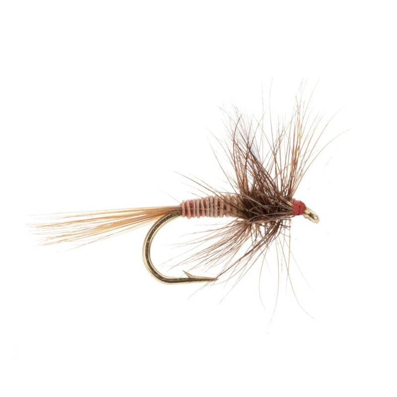 DRY WINGED FLY LUNNS PARTICULAR
