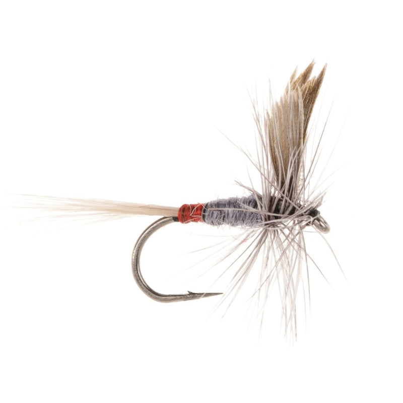 DRY WINGED FLY IRON BLUE DUN