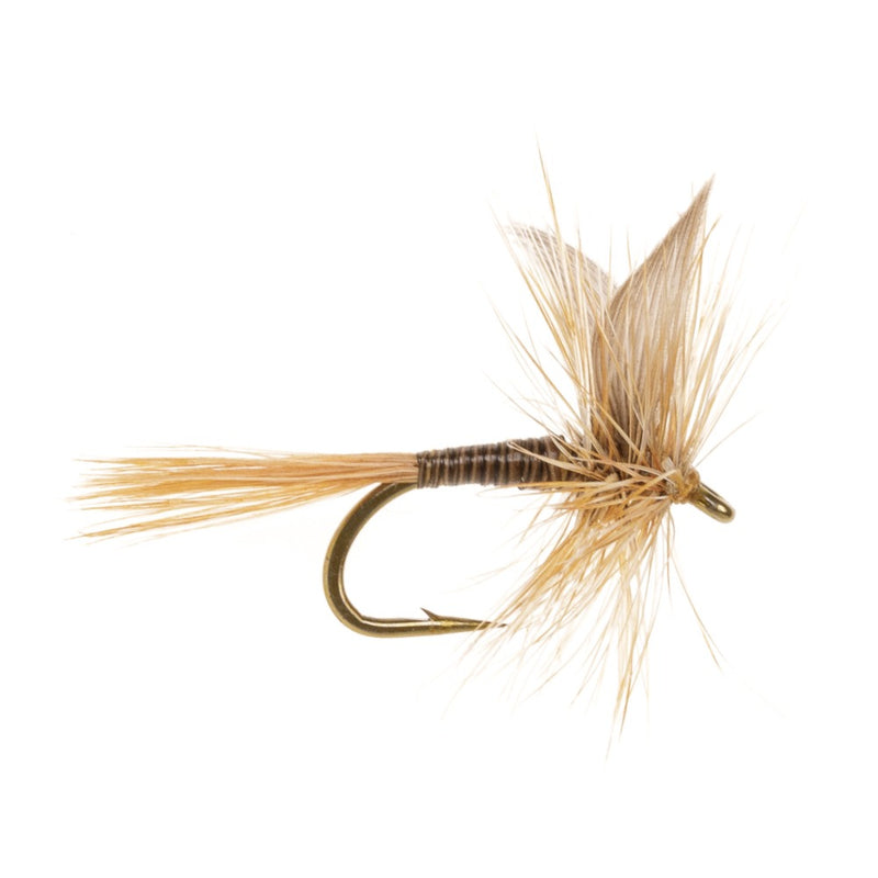 DRY WINGED FLY BLACK QUILL