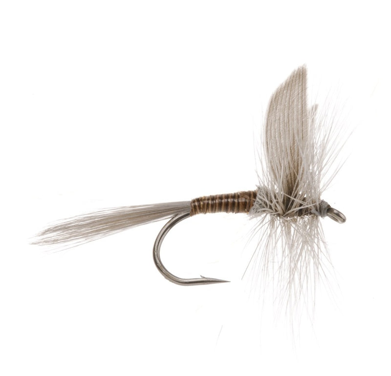 DRY WINGED FLY BLUE QUILL