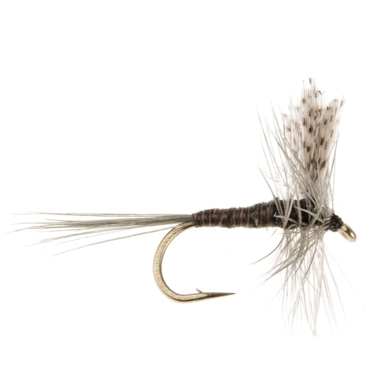 DRY WINGED FLY GORDONS QUILL