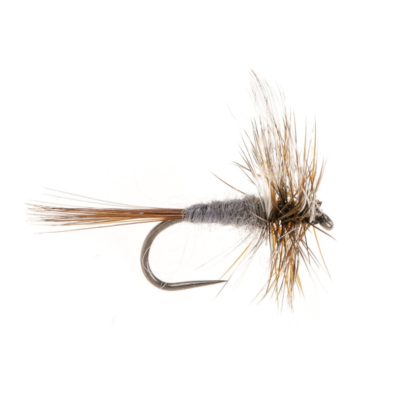 DRY WINGED BARBLESS FLY ADAMS