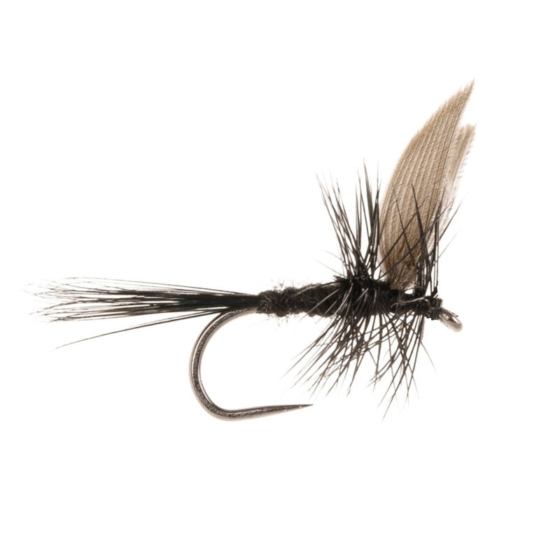 DRY WINGED BARBLESS FLY BLACK GNAT BLACK