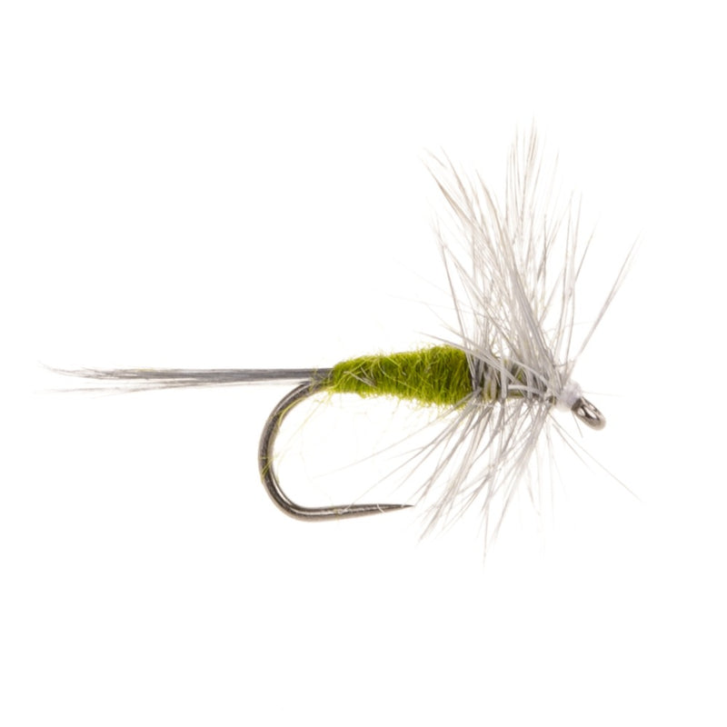 DRY WINGED BARBLESS FLY BLUE WINGED OLIVE
