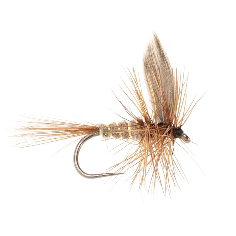 DRY WINGED BARBLESS FLY G.R. HARES EAR