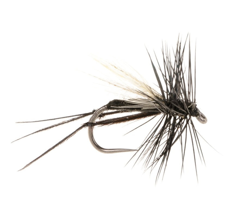 DRY WINGED BARBLESS FLY HAWTHORNE