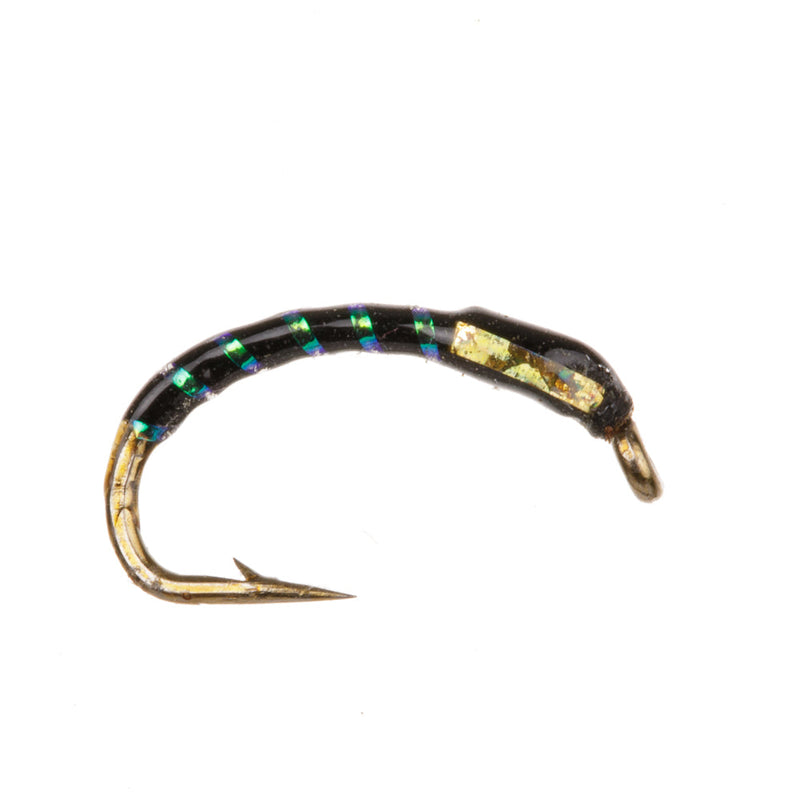 FLEX-EPOXY BUZZER FLY EPOXY BUZZER BLACK & GOLD HOLO