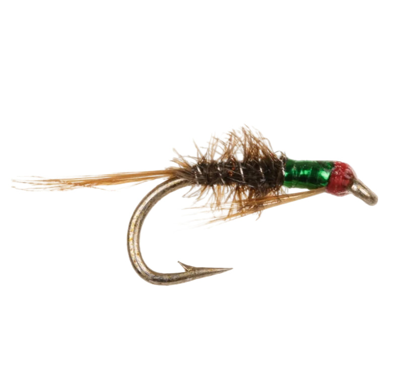BUZZER FLY GREEN THROAT