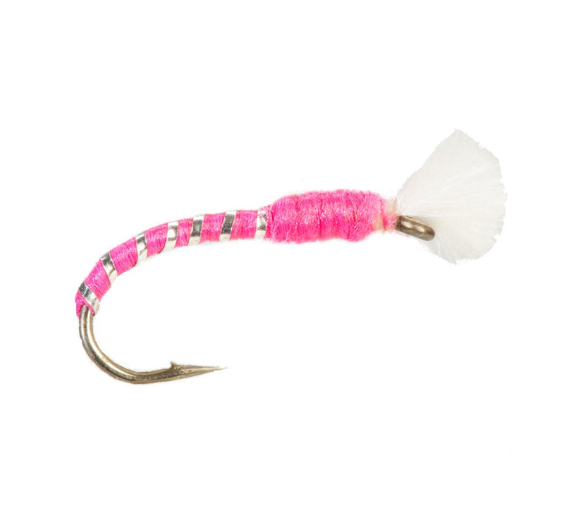 BUZZER FLY PINK