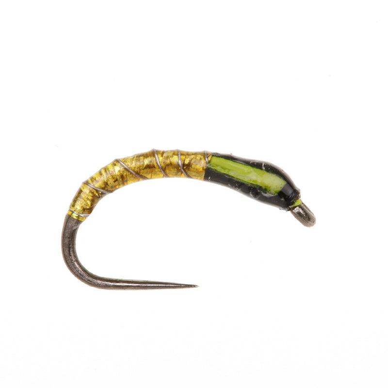 BUZZER BARBLESS FLY GOLD