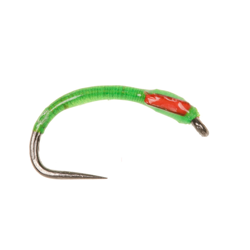 BUZZER BARBLESS FLY LIME & ORANGE CHEEKS EPOXY BUZZER