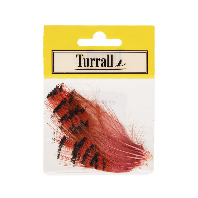 GOLDEN PHEASANT TIPPET FLY TYING FEATHERS