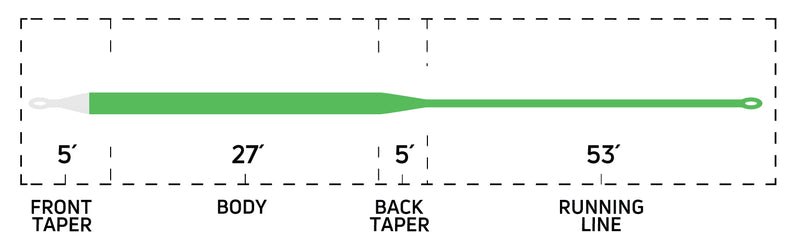 CORTLAND GHOST TIP 3 INTERMEDIATE / FLOATING FLY LINE