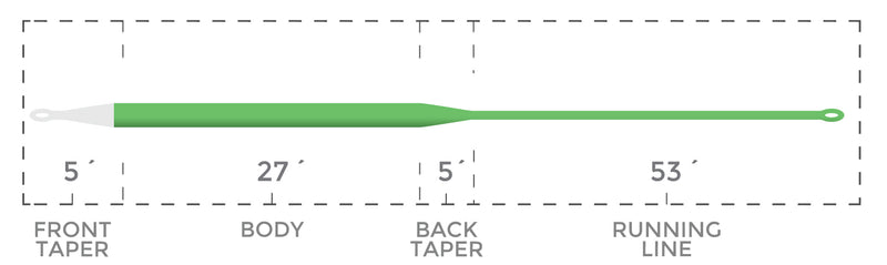 CORTLAND GHOST TIP 5 INTERMEDIATE / FLOATING FLY LINE