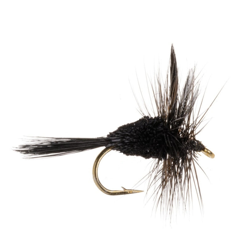 HAIR-BODIED DRY FLY IRRESISTIBLE-BLACK