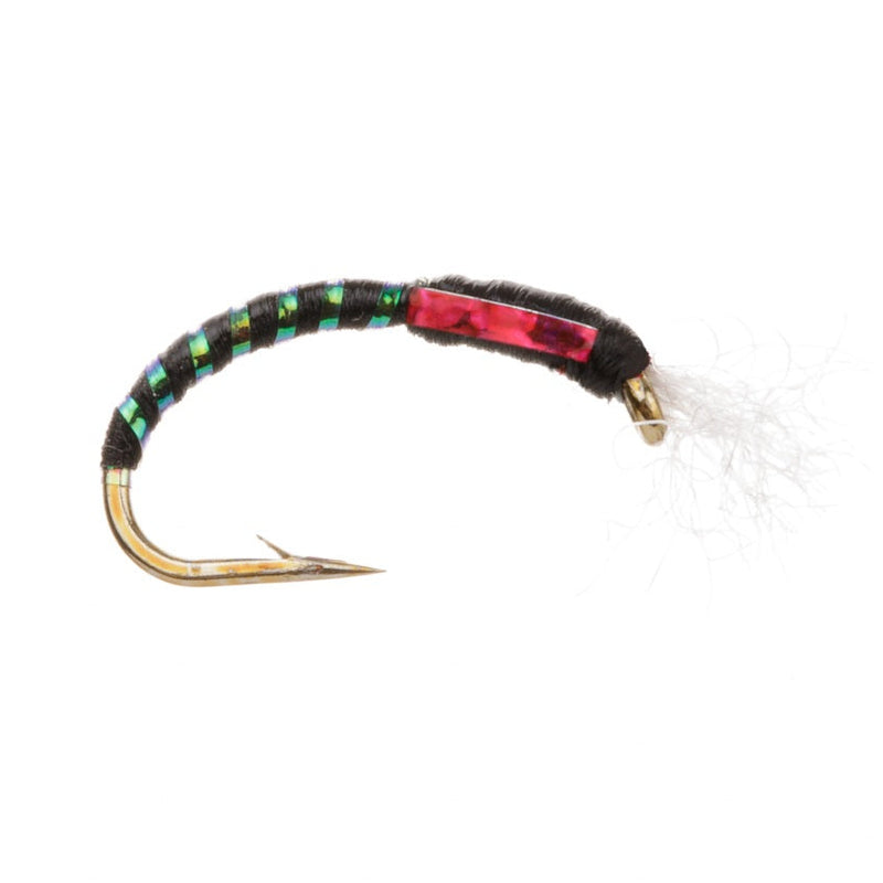 HOLOGRAPHIC BUZZER FLY BLACK WITH BREATHER