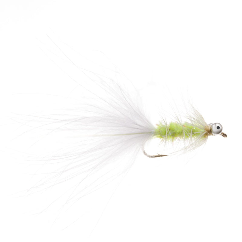HUMUNGUS FLY CAT'S WHISKER