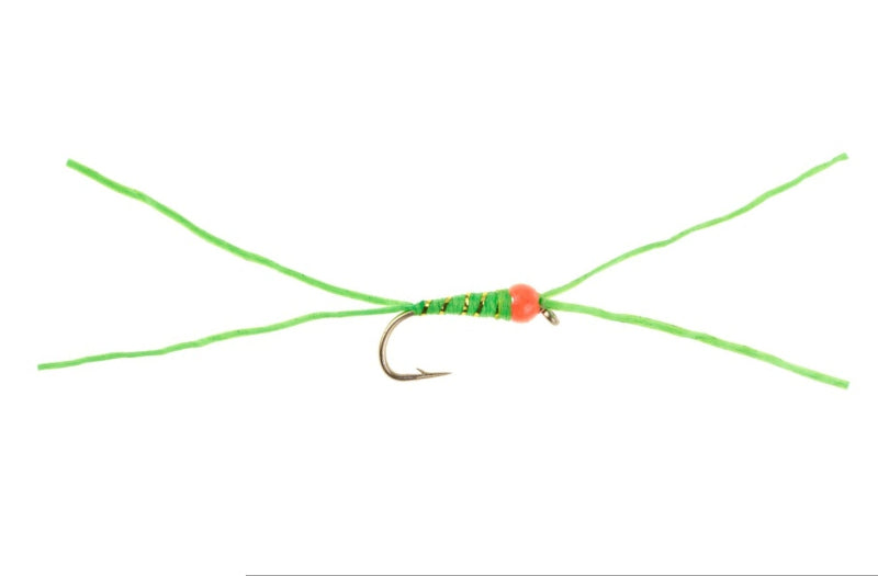HOT HEAD FLY MUTANT CAT WORM