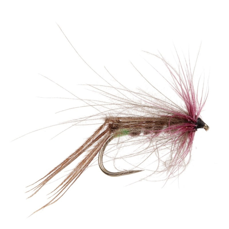 HOPPER BRISTOL FLY CLARET
