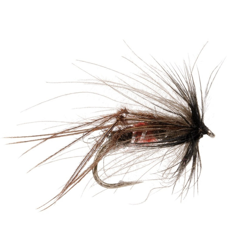 HOPPER BRISTOL FLY BIBIO