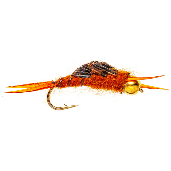 HEAVY STONE NYMPH FLY BH KAUFMAN BROWN STONEFLY