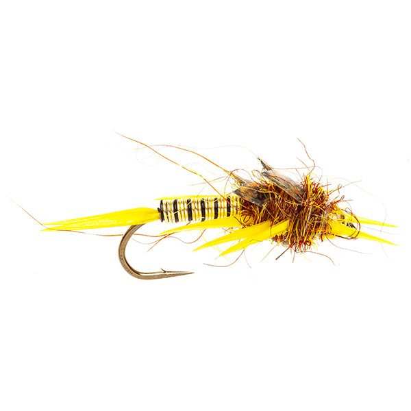 HEAVY STONE NYMPH FLY SHELBACK STONEFLY GOLD