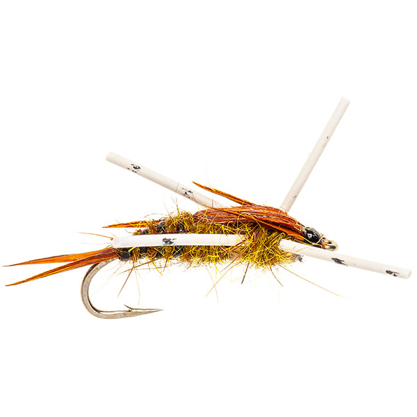 HEAVY STONE NYMPH FLY SPECKLED DOUBLE BEAD STONEFLY OLIVE