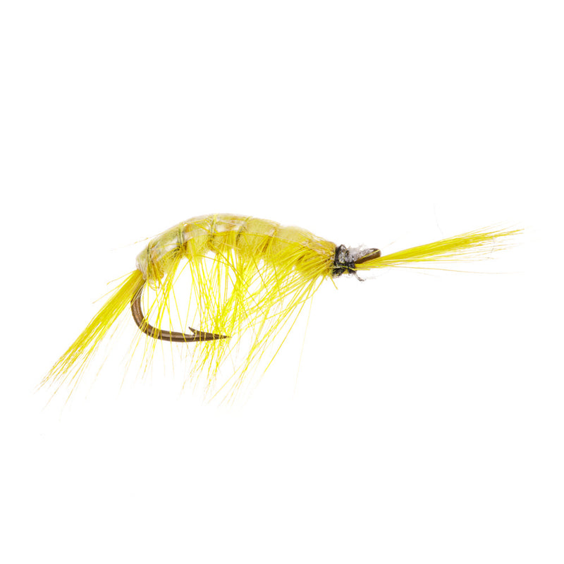NORDIC TROUT FLY YELLOW GAMMARUS