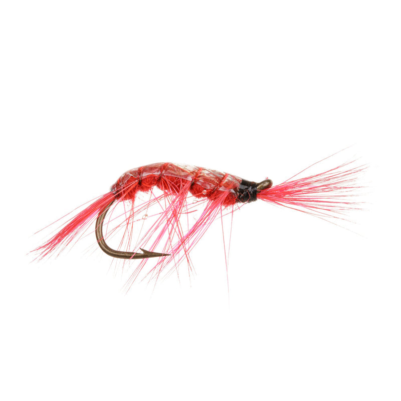 NORDIC TROUT FLY RED GAMMARUS